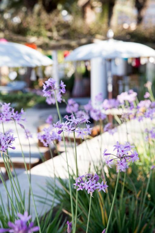 Ibizazen Hotel Санта Еулалия дел Рио Екстериор снимка